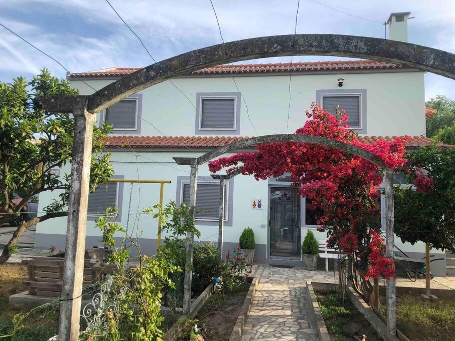 Casa Almenara Apartment Quinta do Anjo Bagian luar foto